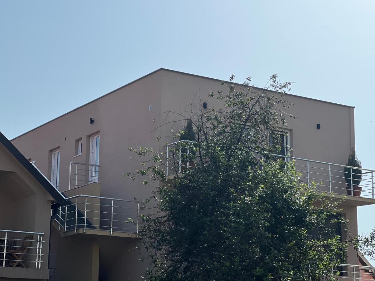 Apartman Scepanovic Nikšić エクステリア 写真